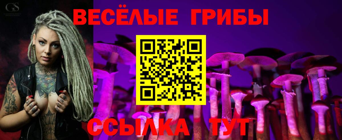 Псилоцибиновые грибы мицелий Чайковский